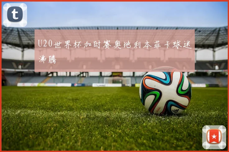 U20世界杯加时赛奥地利本菲卡球迷沸腾