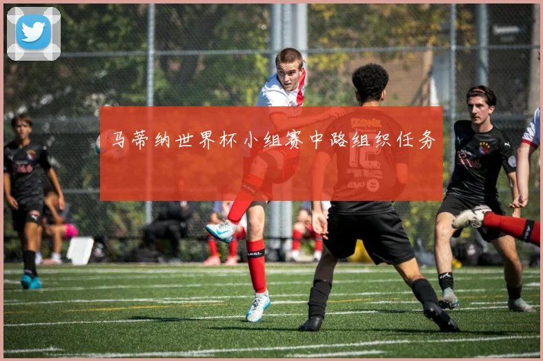 马蒂纳世界杯小组赛中路组织任务