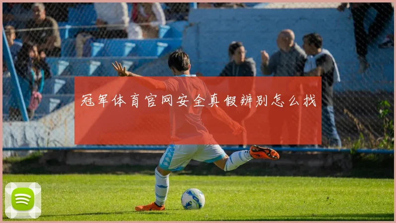 冠军体育官网安全真假辨别怎么找