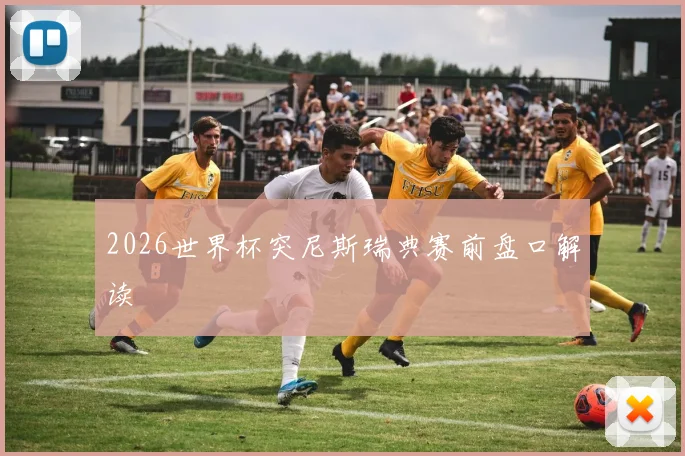 2026世界杯突尼斯瑞典赛前盘口解读