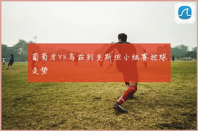 葡萄牙vs乌兹别克斯坦小组赛控球走势