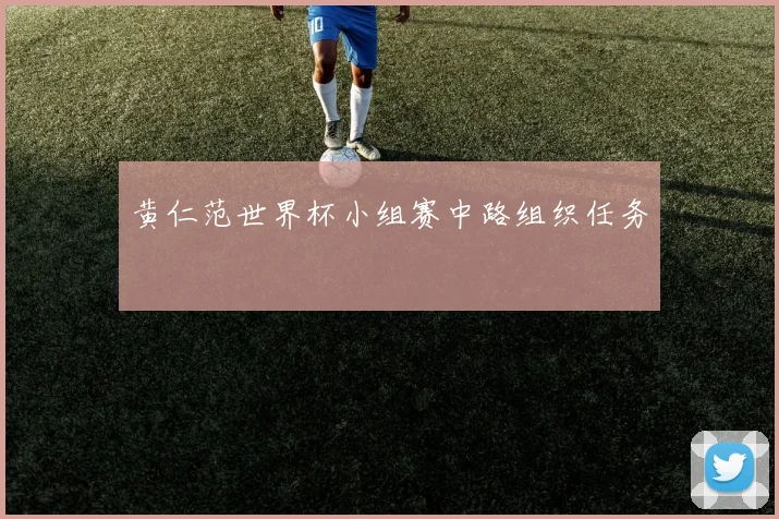 黄仁范世界杯小组赛中路组织任务